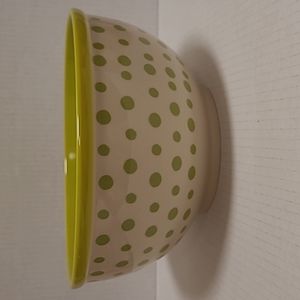 Beautiful Large 2018, 10 inch Pioneer Woman Ceremic Bowl